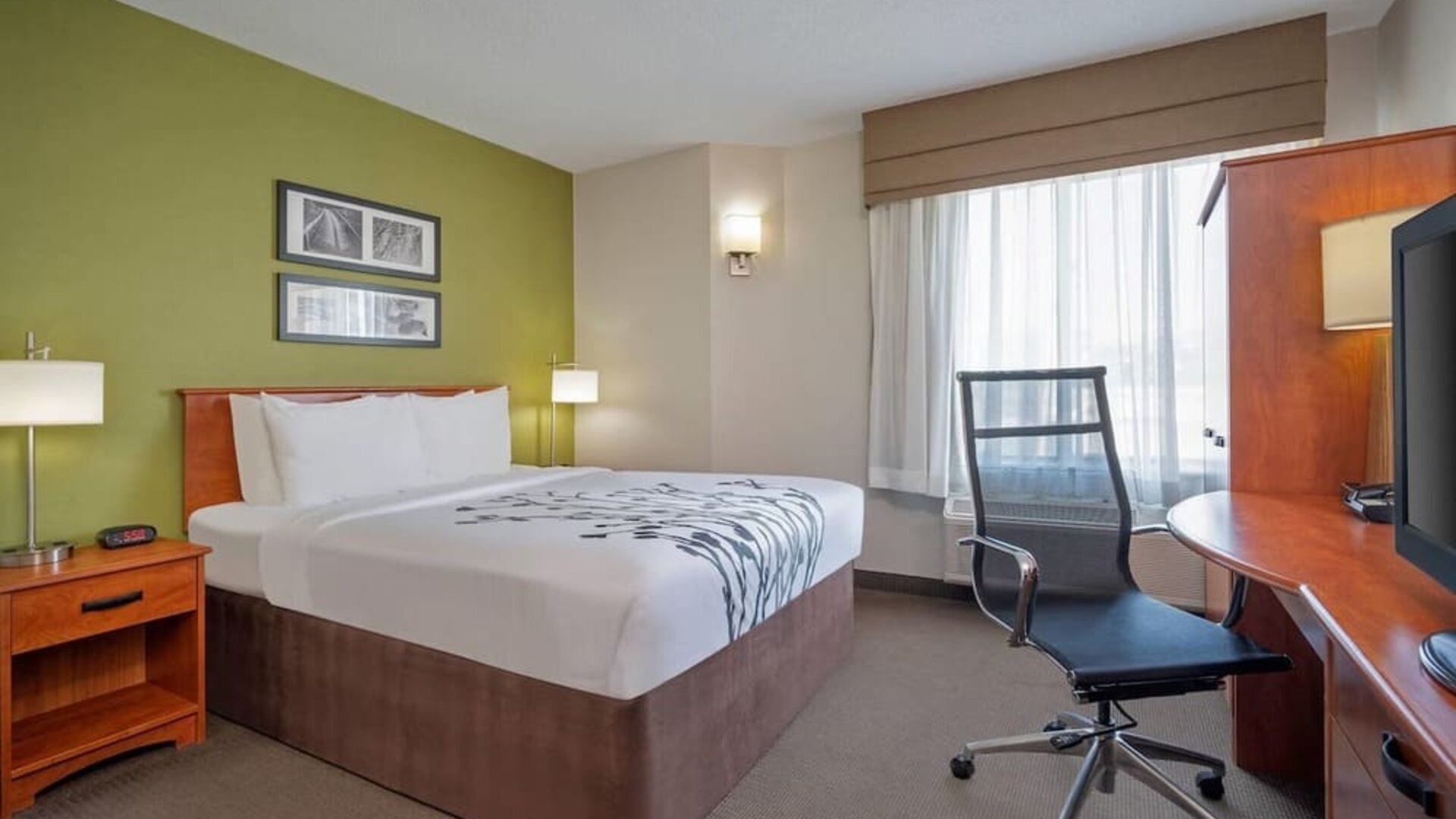 Bright Sleep Inn king room featuring a large bed with white bedding and gray floral detailing, green accent wall, framed artwork, wooden bedside tables, modern lamps, spacious work desk, black mesh office chair, and a window with sheer curtains.