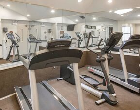 Hotel fitness center featuring multiple treadmills, elliptical exercise machines, wall-to-wall mirrors, bright overhead lighting, and neutral-colored carpeting in a dedicated indoor workout space.