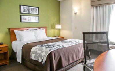 omfortable Sleep Inn king room featuring a large bed with white pillows, brown bedding, and a gray floral-patterned runner, green accent wall with framed artwork, wooden bedside tables, reading lamps, and a work desk beside a curtained window.