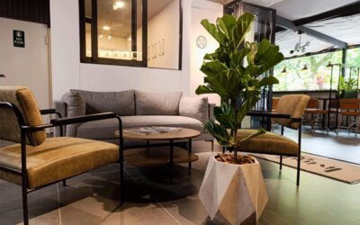 Lounge area with a grey sofa, mustard-coloured armchairs, round coffee table, large potted plant, and adjoining café seating at Hotel Living 35 Suites.