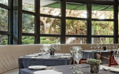 Restaurant seating area with tables, white tablecloths, glass partitions and views of the surrounding garden at Hotel Best Western PLUS Alfa Aeropuerto.