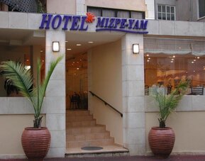 Hotel entrance with stone facade, glass doors, exterior signage and large potted palm plants at Mizpe Yam Netanya Boutique Hotel.