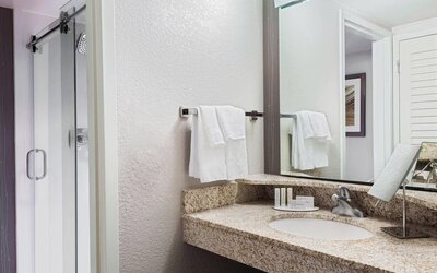 Guest bathroom with granite vanity, oval sink, wall mirror, shower enclosure and neatly folded white towels at Courtyard By Marriott Sarasota Bradenton Airport.