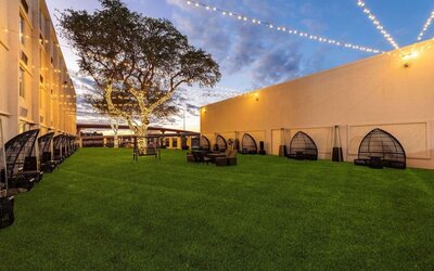 Hotel garden at Wyndham DFW Airport.