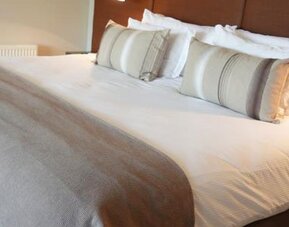 Hotel Los Españoles Plus