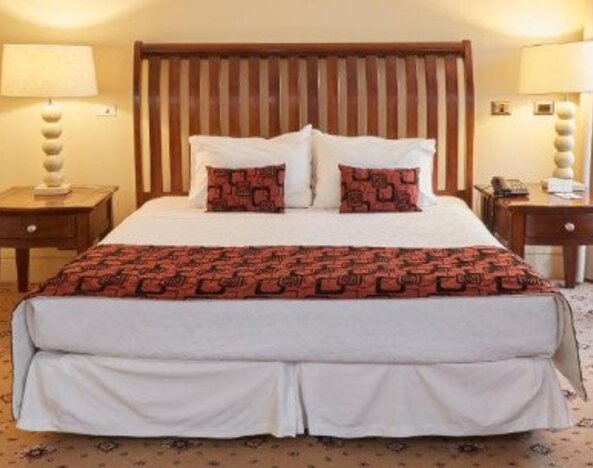 Hotel Torremayor Lyon