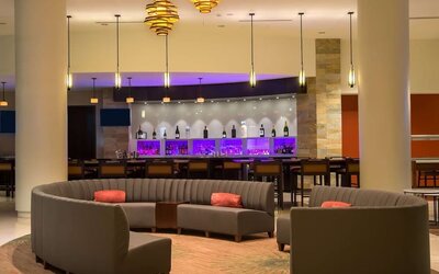 Hotel bar at Hilton Albany.
