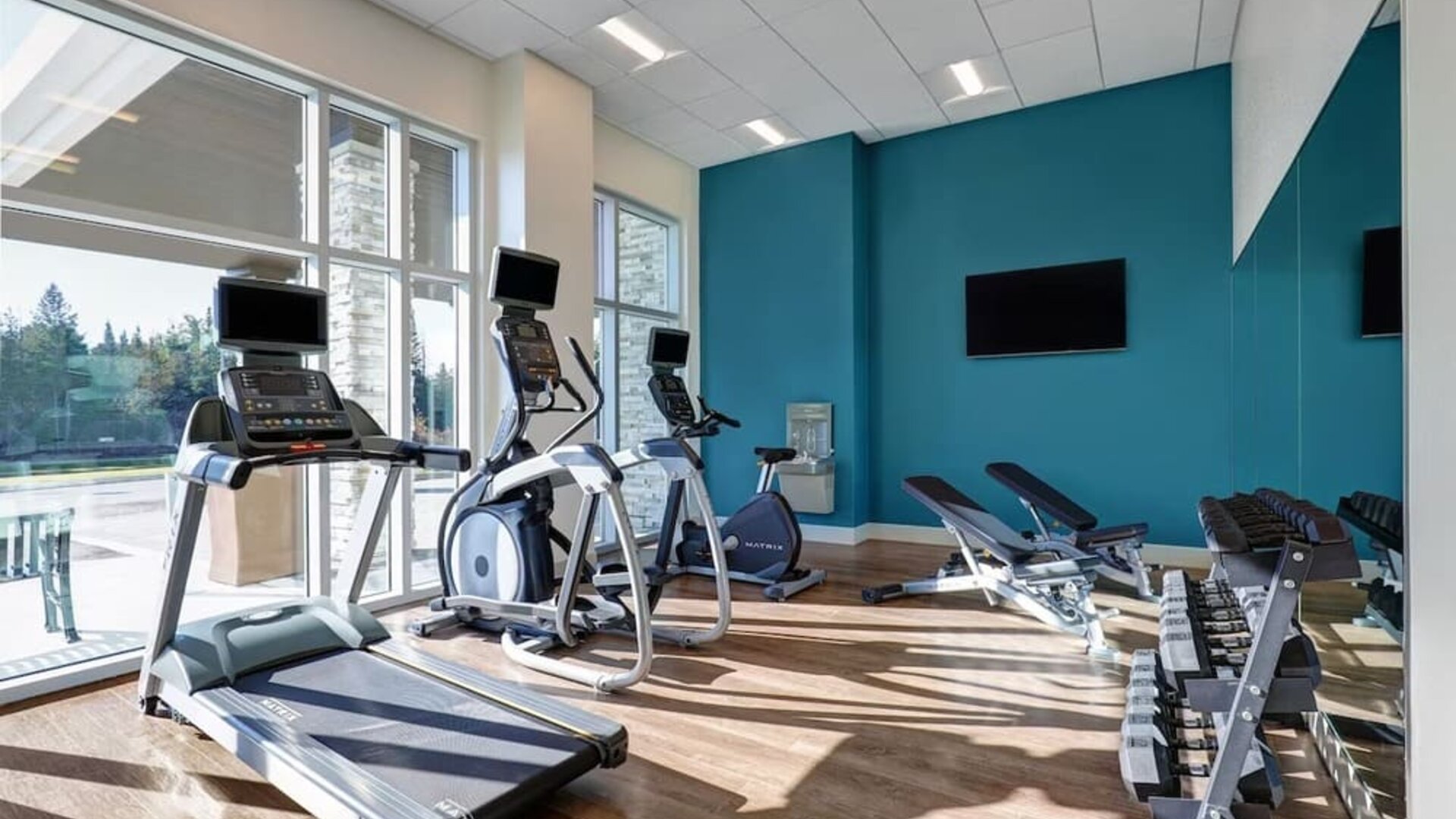 Fully equipped fitness center at Holiday Inn Express Kingston West.