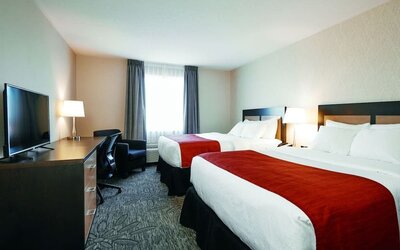 Day use twin room with TV, work desk and private bathroom at Quality Inn & Suites Kingston.