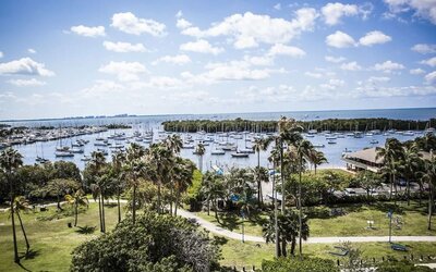 View from the hotel at The Mutiny Hotel.