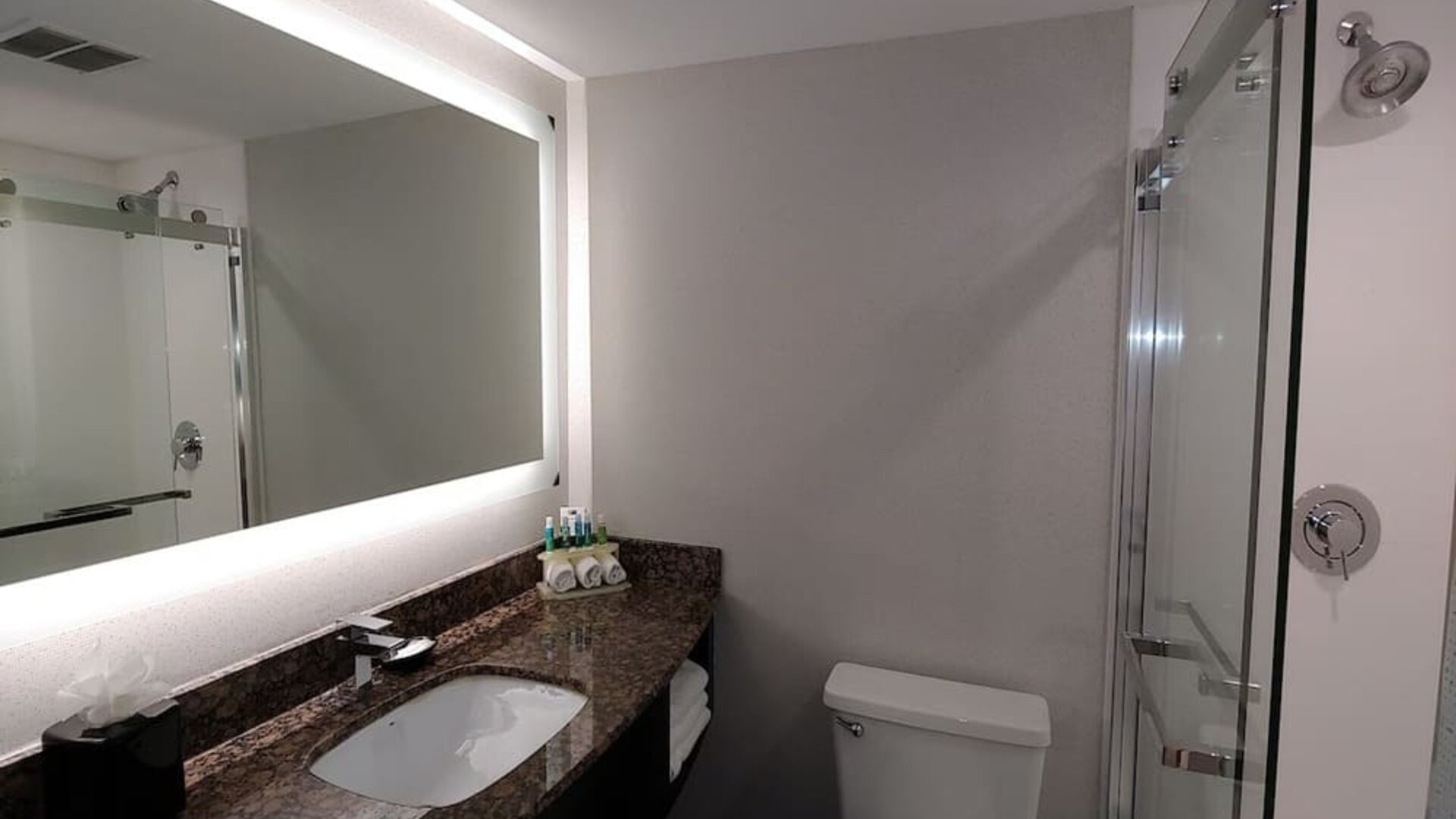 Guest bathroom with shower at Holiday Inn Express Rolling Meadows-Schaumburg.