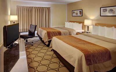 Day use twin room with work desk and private bathroom at Comfort Inn New Glasgow.