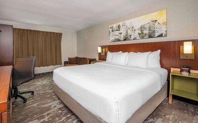 Standard day use room with work desk at Comfort Inn Dryden.