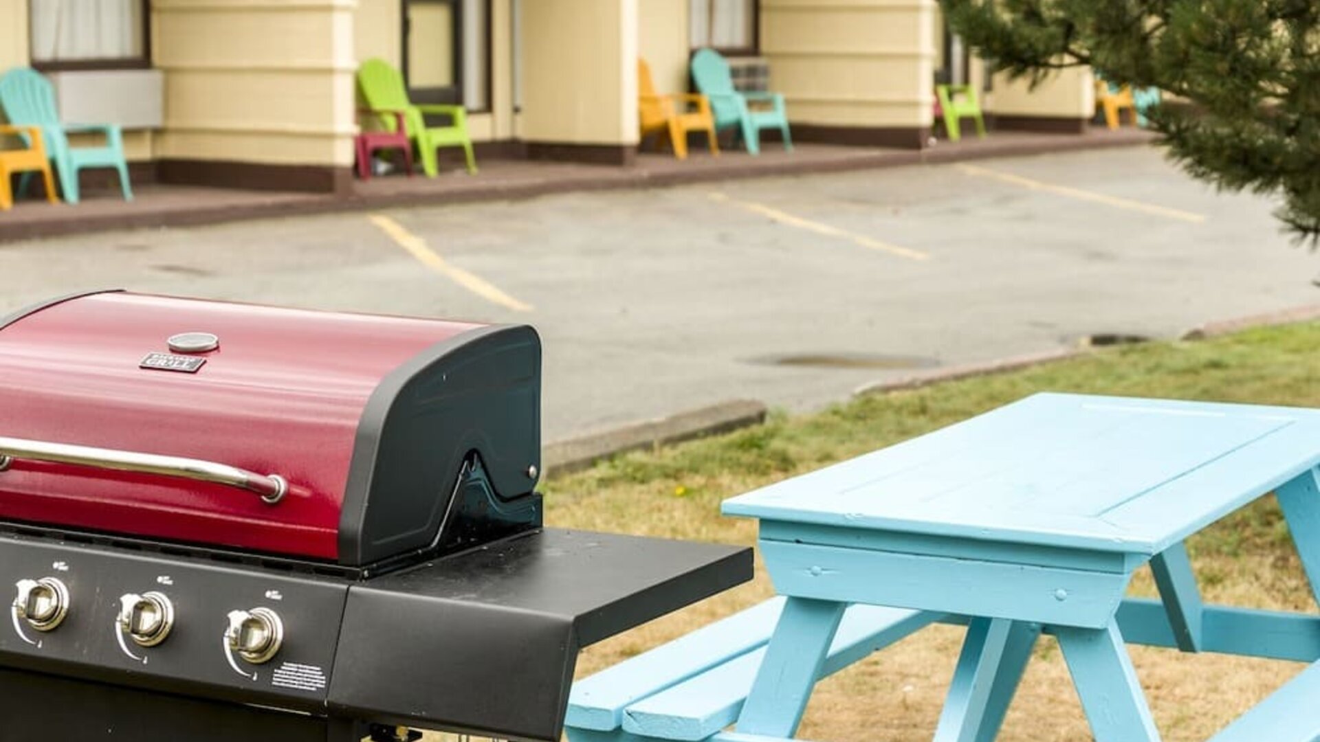 BBQ & Pinic area at Mount Peyton Resort & Conference Center.