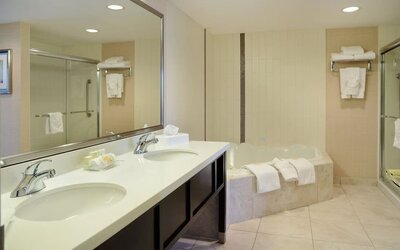 Guest bathroom with shower and hot tub at Holiday Inn Conference Center Edmonton South.