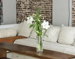 Design cE - Hotel Boutique de Diseño