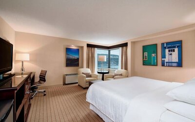 Standard day use room with TV, work desk and lounge area at Sheraton Hotel Newfoundland.