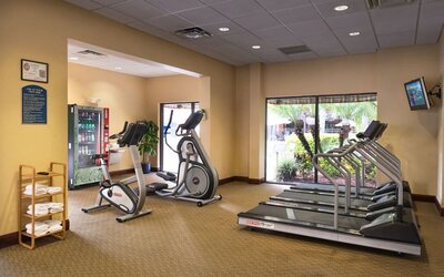Fitness facility at Holiday Inn Orlando SW - Celebration Area.