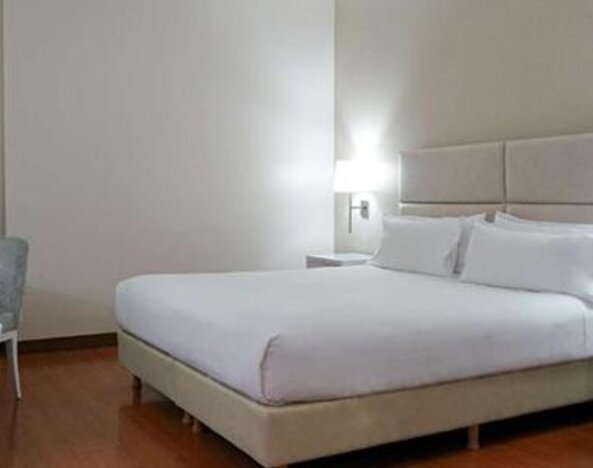 NH Mendoza Cordillera