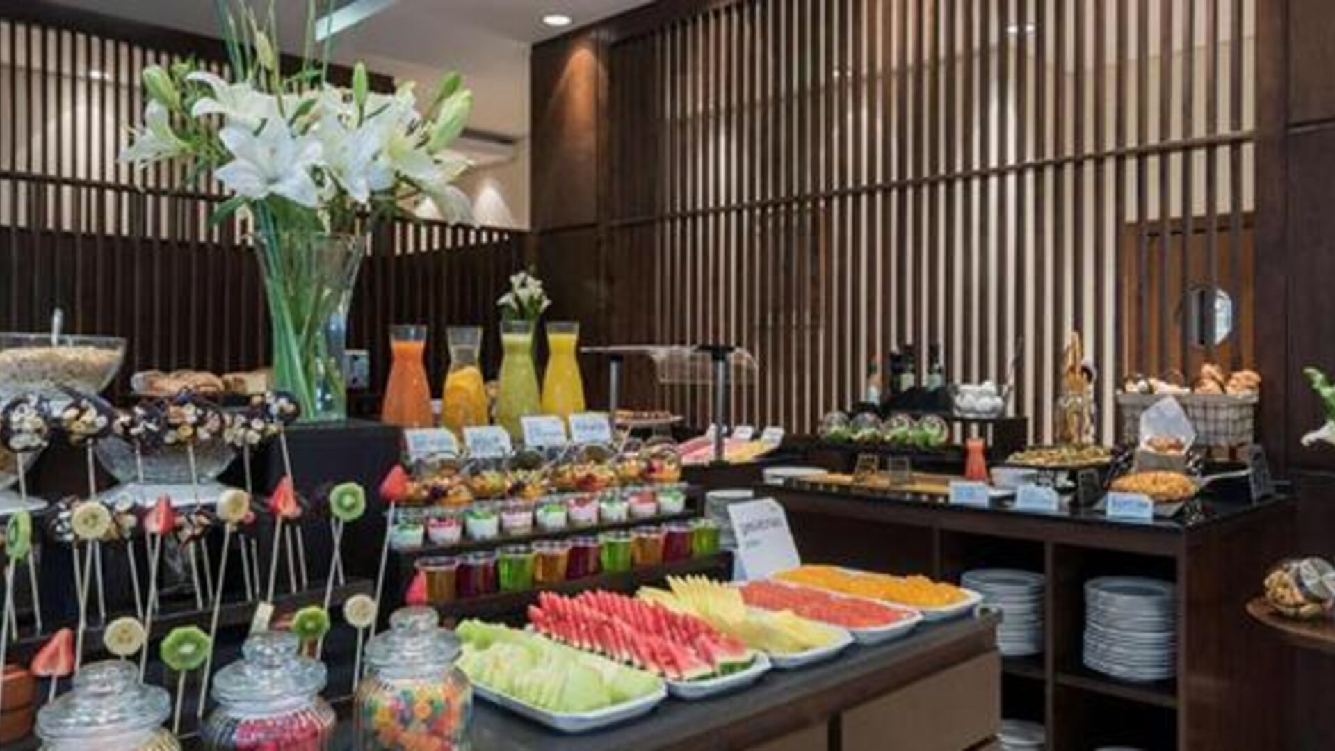 NH Mendoza Cordillera