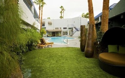 Garden beside the pool at Hotel Current.