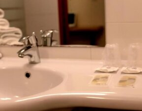 Eurohotel Airport Orly Rungis