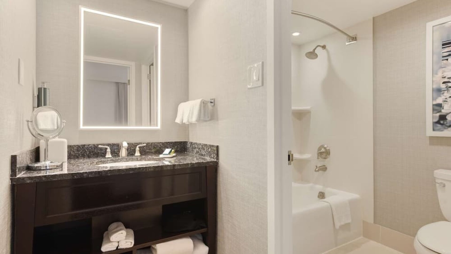Guest bathroom with shower and tub at Capital Hilton.