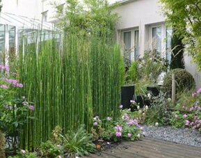 Hôtel Saint-Charles