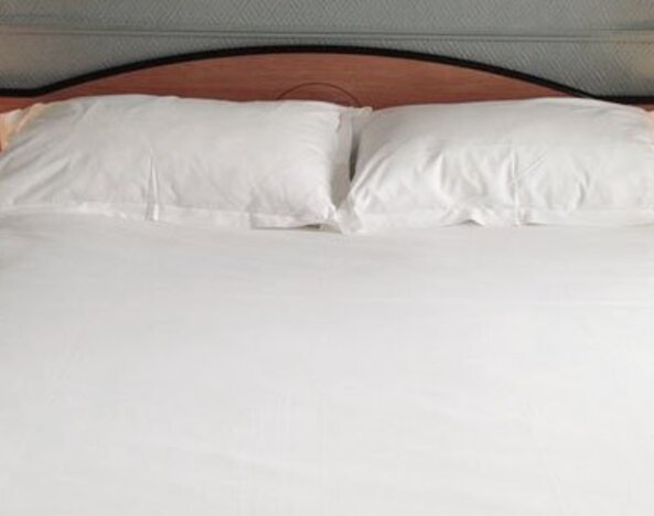 Hôtel Prince Albert Concordia