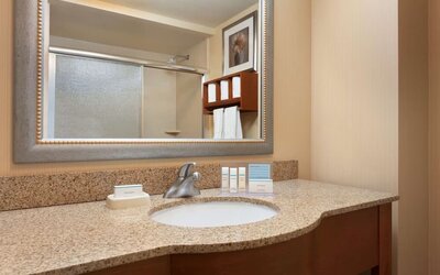 Guest bathroom at Hampton Inn New York - LaGuardia Airport.