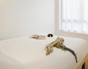 Hôtel ibis Styles Paris Buttes Chaumont