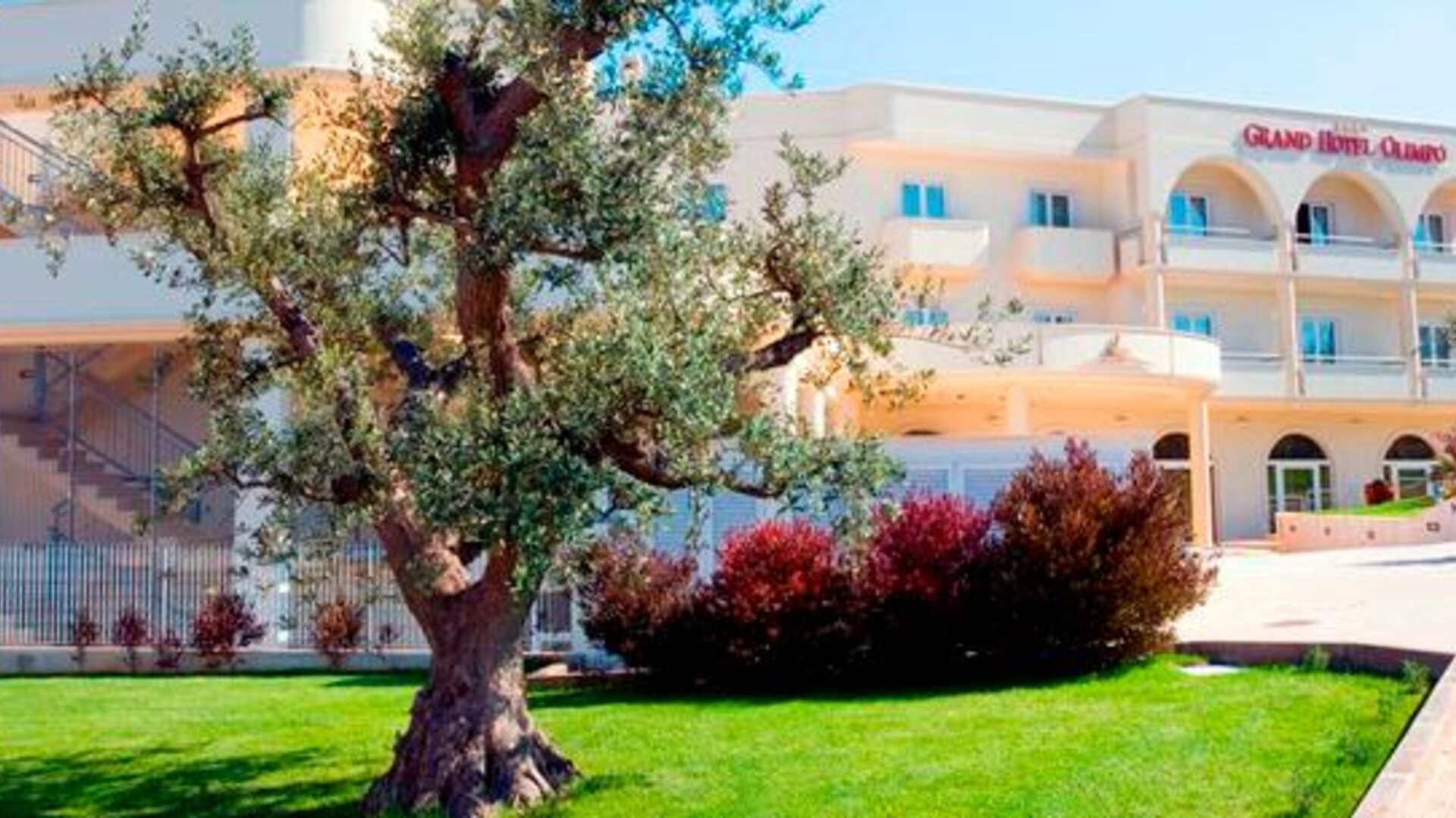 Hotel Grand Olimpo