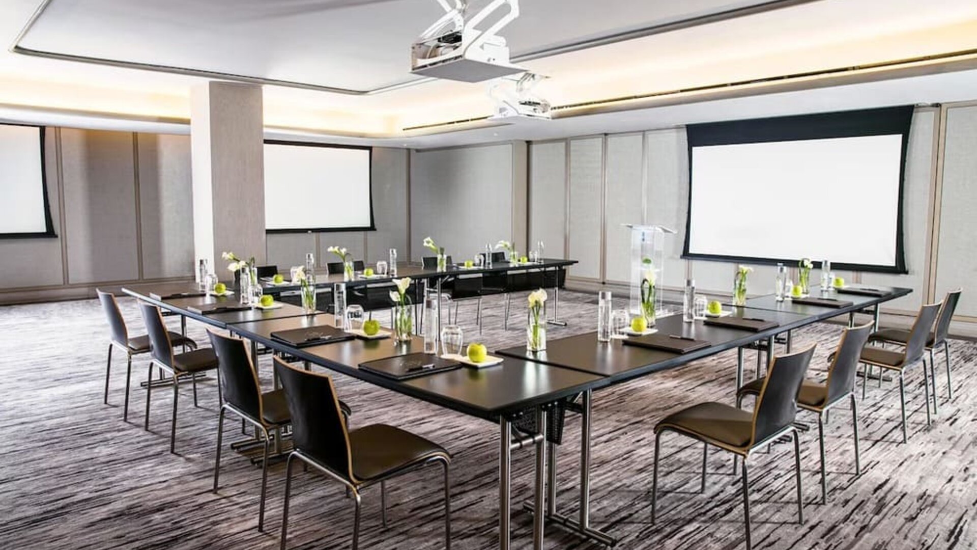 Professional meeting room at The Knickerbocker Hotel.