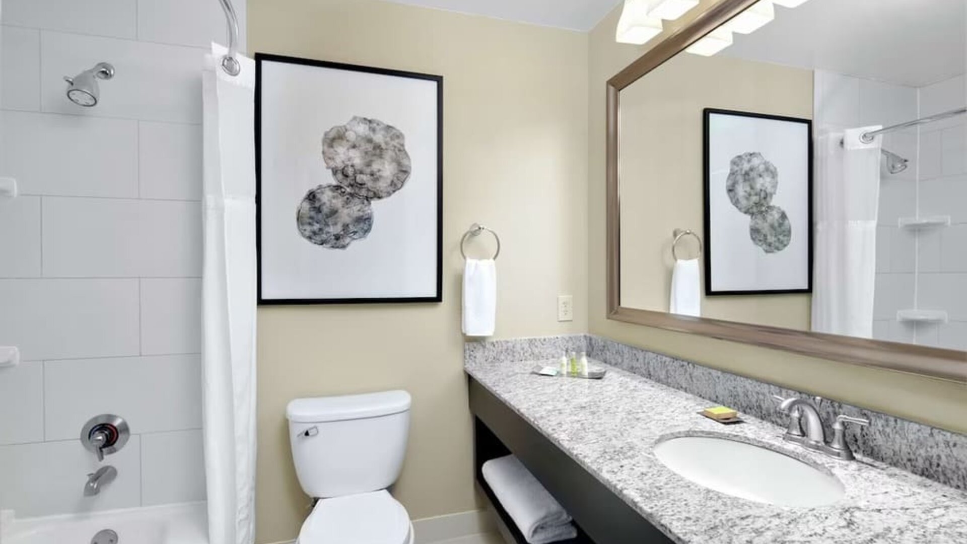 Guest bathroom with shower and tub at DoubleTree Suites By Hilton Hotel Charlotte - SouthPark.