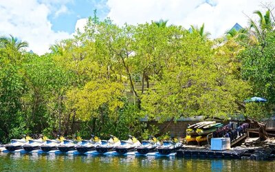 Watersports and kayaking at Parrot Key Hotel & Villas.