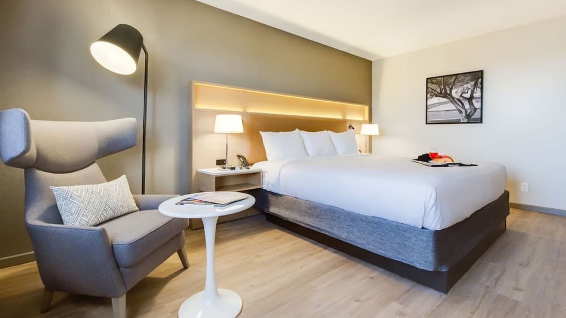 Day use room with natural light at Radisson Hotel Sunnyvale Silicon Valley.