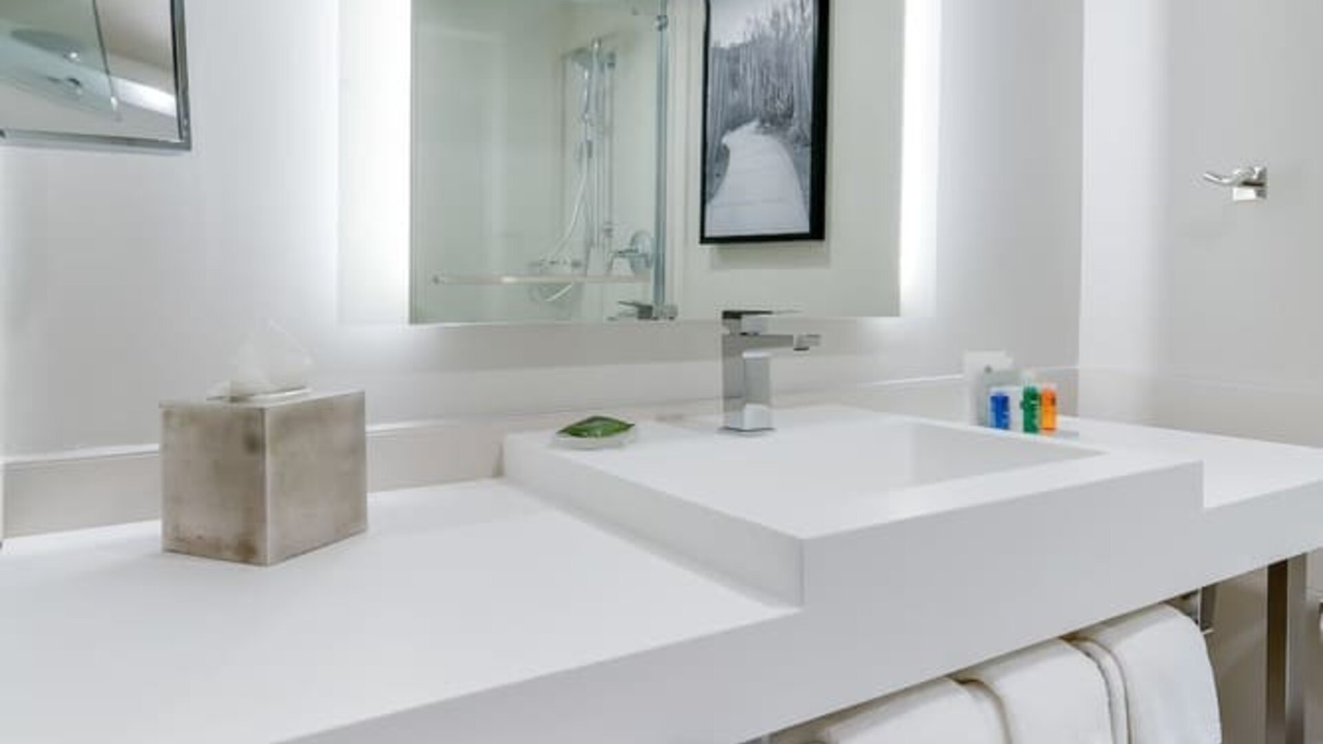Guest bathroom with shower at Radisson Hotel Sunnyvale Silicon Valley.