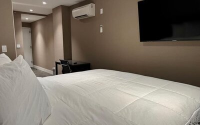 Day use deluxe room with TV screen and work desk at Rose Hotel, Bronx.