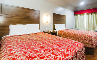 Day use twin room at Palace Inn Beltway 8 & Bissonnet.