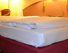 Hotel Tagungshotel Höchster Hof Frankfurt