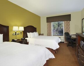Day use twin room with work desk at Hampton Inn & Suites Conroe - I-45 North.