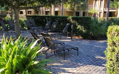 Loungers in the garden of DoubleTree By Hilton Orlando At SeaWorld.