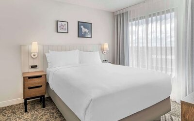 King bed at Sonesta ES Suites San Antonio Downtown Alamo Plaza.