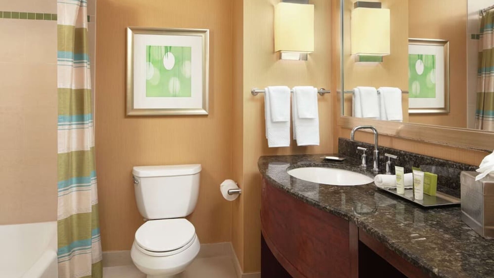 Guest bathroom with shower and tub at Hilton Orlando.