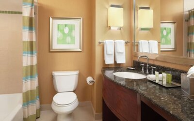 Guest bathroom with shower and tub at Hilton Orlando.
