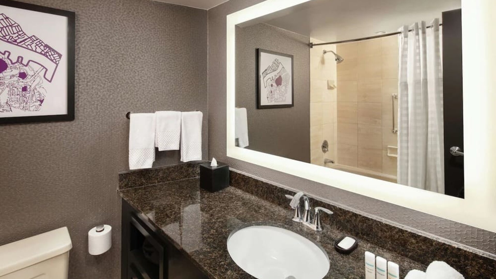 Guest bathroom with shower and tub at Embassy Suites By Hilton Crystal City-National Airport.