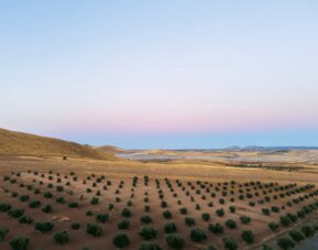 Hotel Spa Villa Nazules