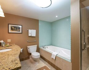 Guest bathroom with shower and tub at DoubleTree By Hilton Grand Rapids Airport.