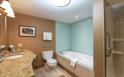 Guest bathroom with shower and tub at DoubleTree By Hilton Grand Rapids Airport.