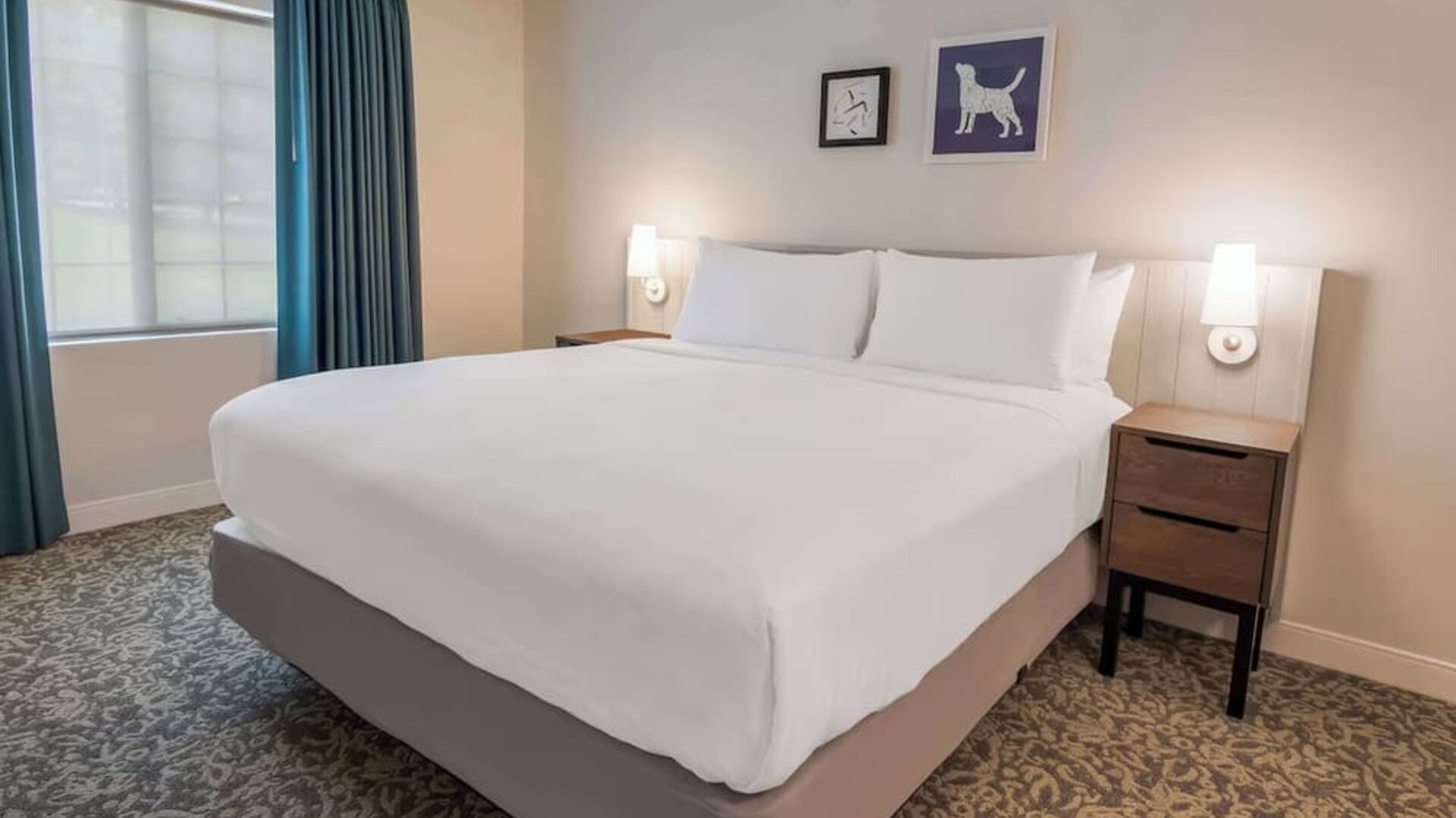 King bed at Sonesta ES Suites Austin The Domain Area.